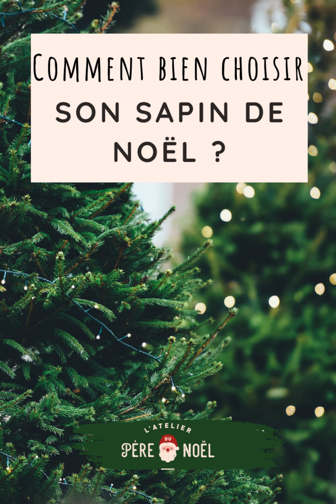 Comment bien choisir son sapin de Noël