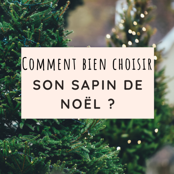 Bien choisir son sapin de Noël